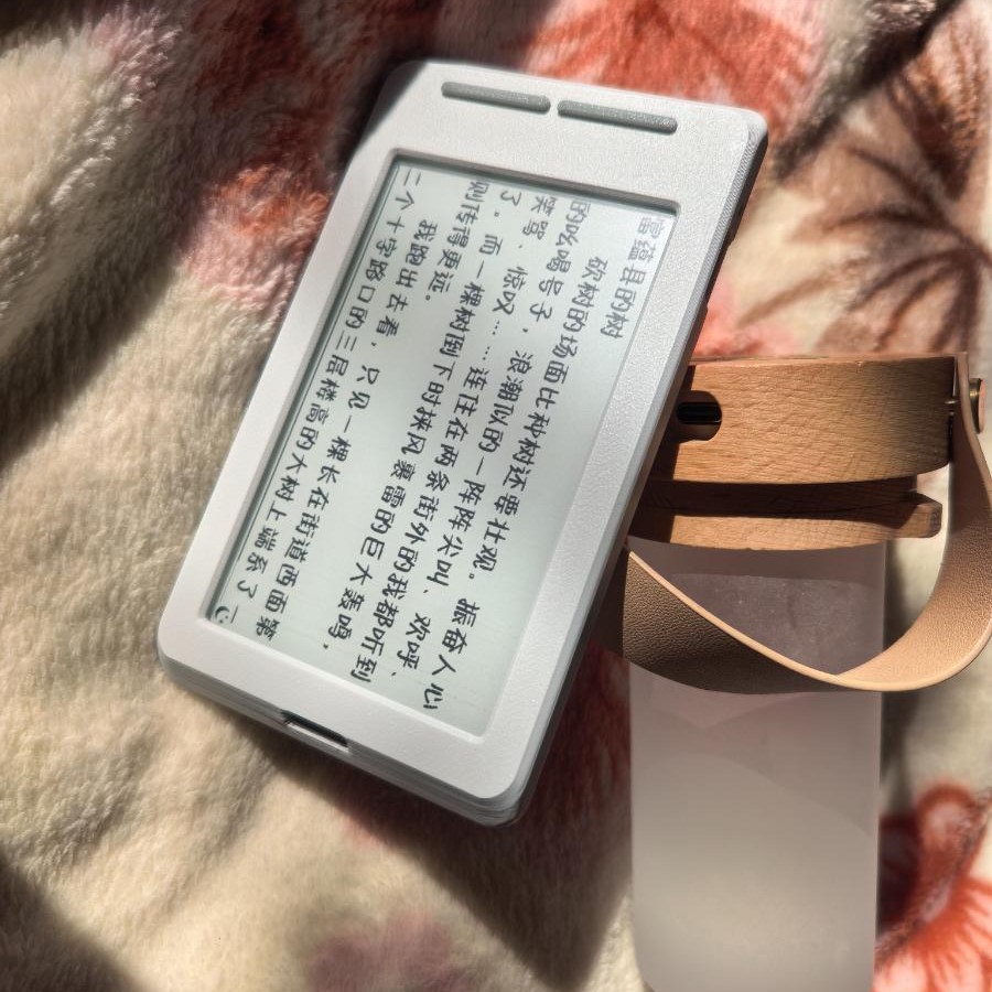 For XTEINK X4 E-Ink Reader Ful - 3D Printing Ebook recension och pris