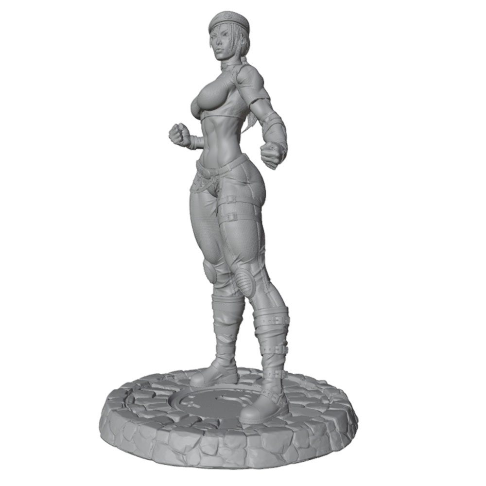 1/24/6 Classic street fighting - 3D Printing Instructor recension och pris